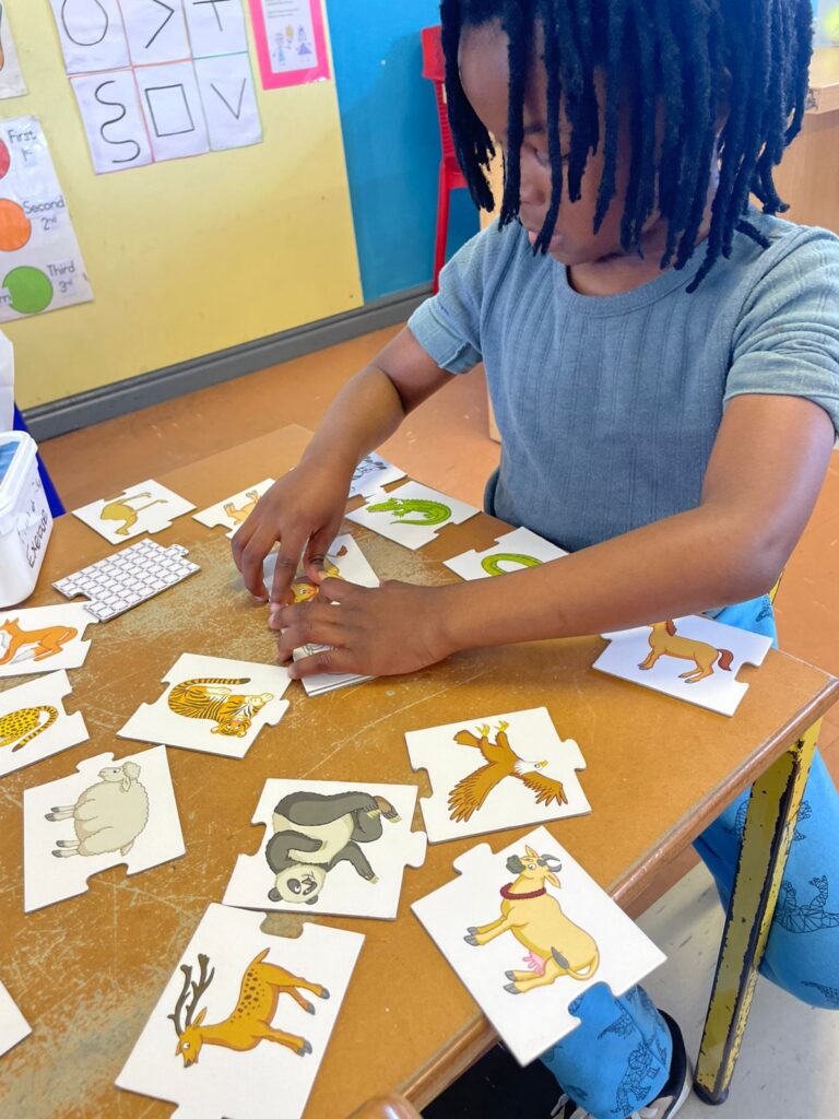 WhatsApp Image 2024-09-26 at 12.13.21